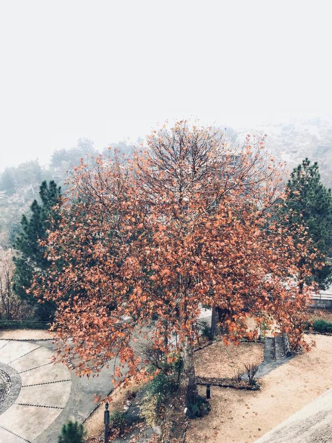 Rock City Resort Mingora Εξωτερικό φωτογραφία